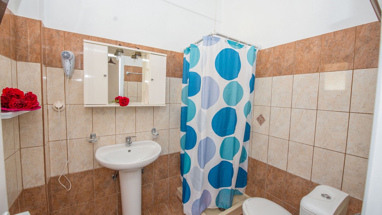 Photo of Bathroom in Afionas