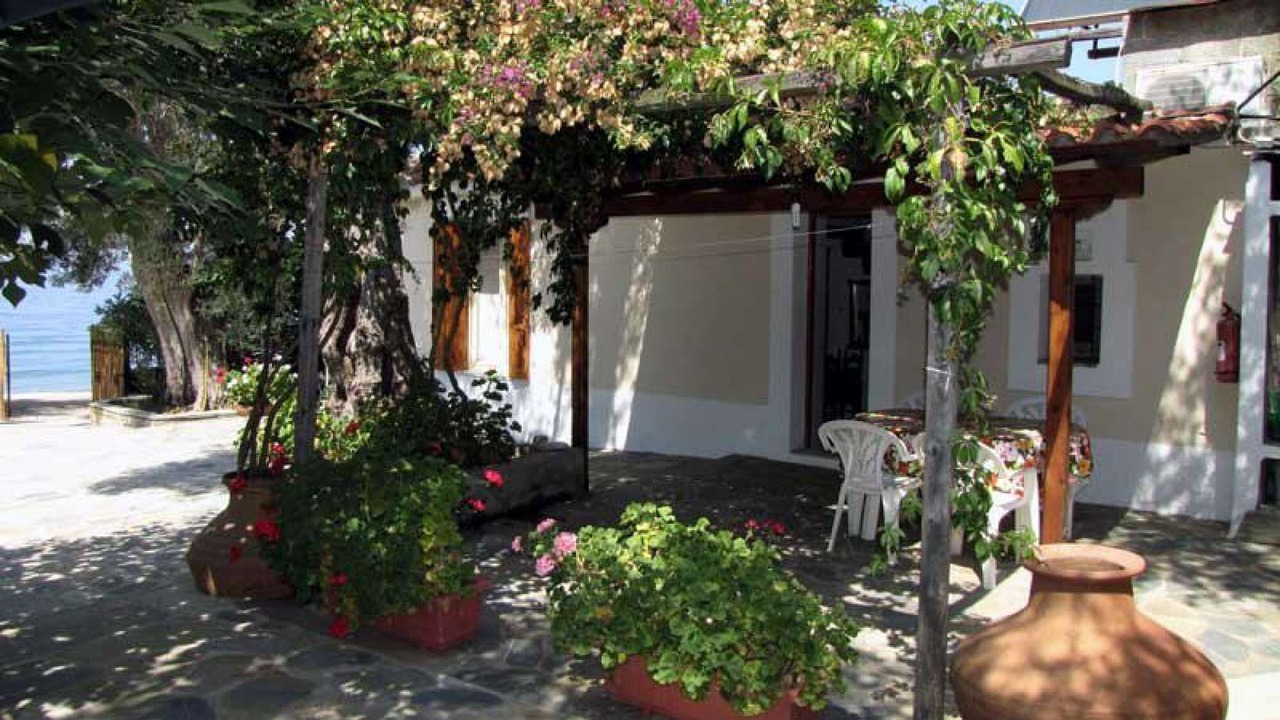 Photo of Outdoor in South Pelion
