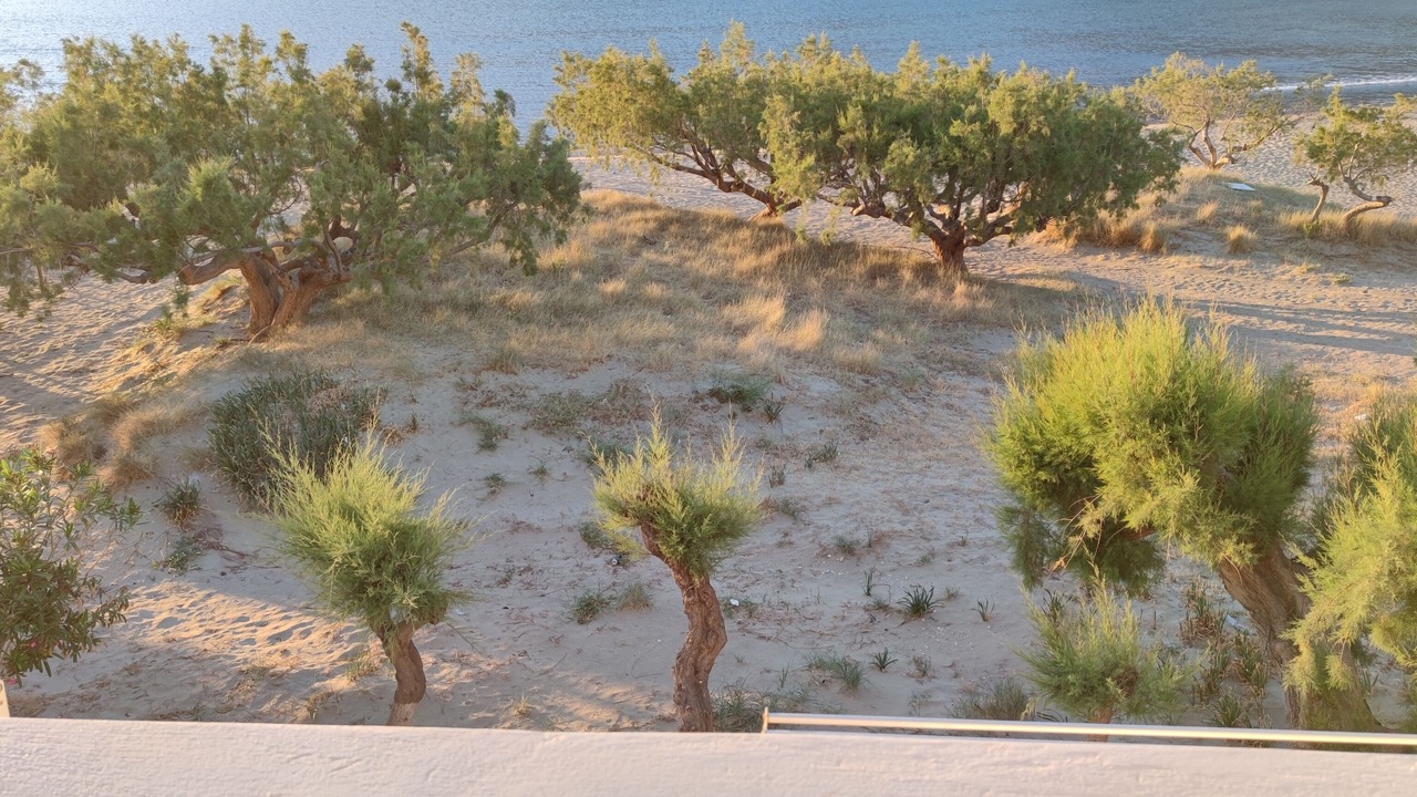 Photo of Others in Kamares
