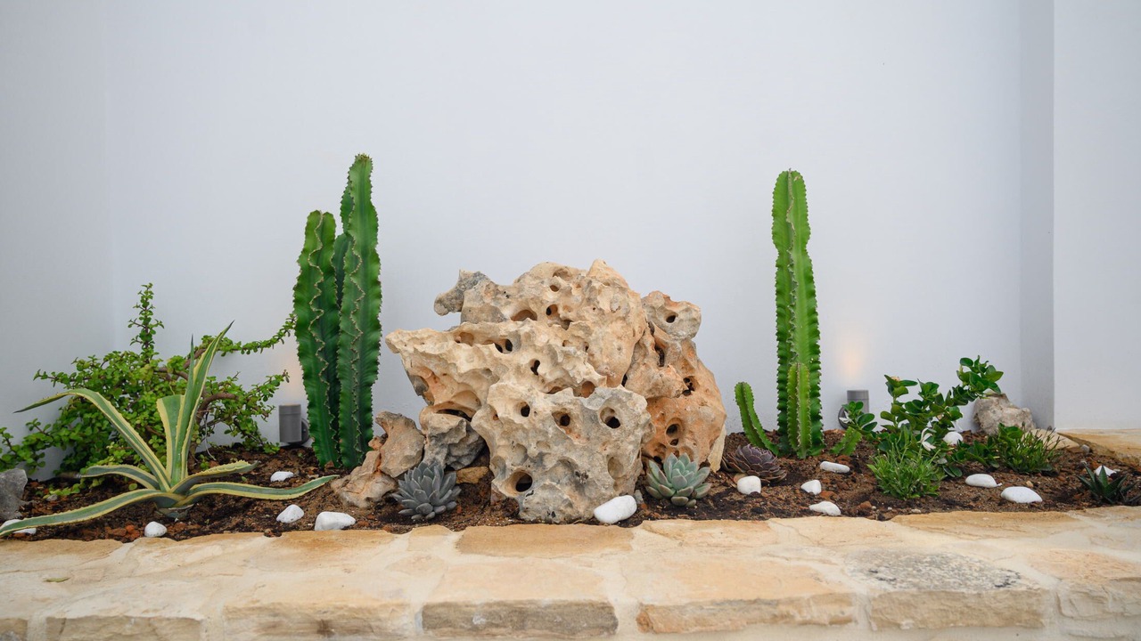Photo of Outdoor in Neo Kalamaki