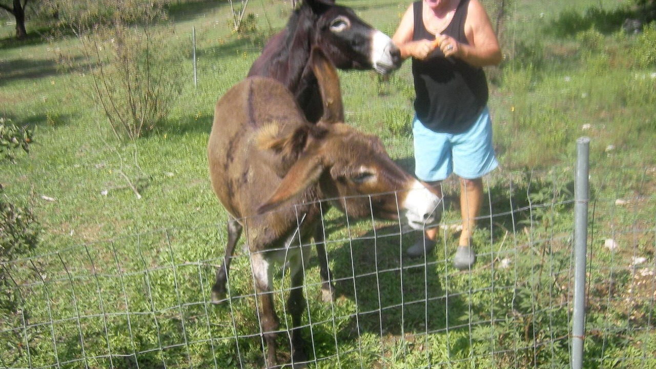 Photo of Outdoor in Igoumenitsa
