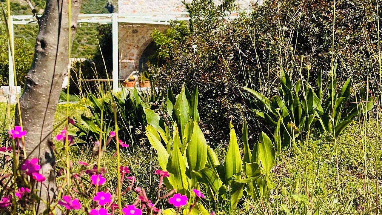 Photo of Outdoor in East Mani