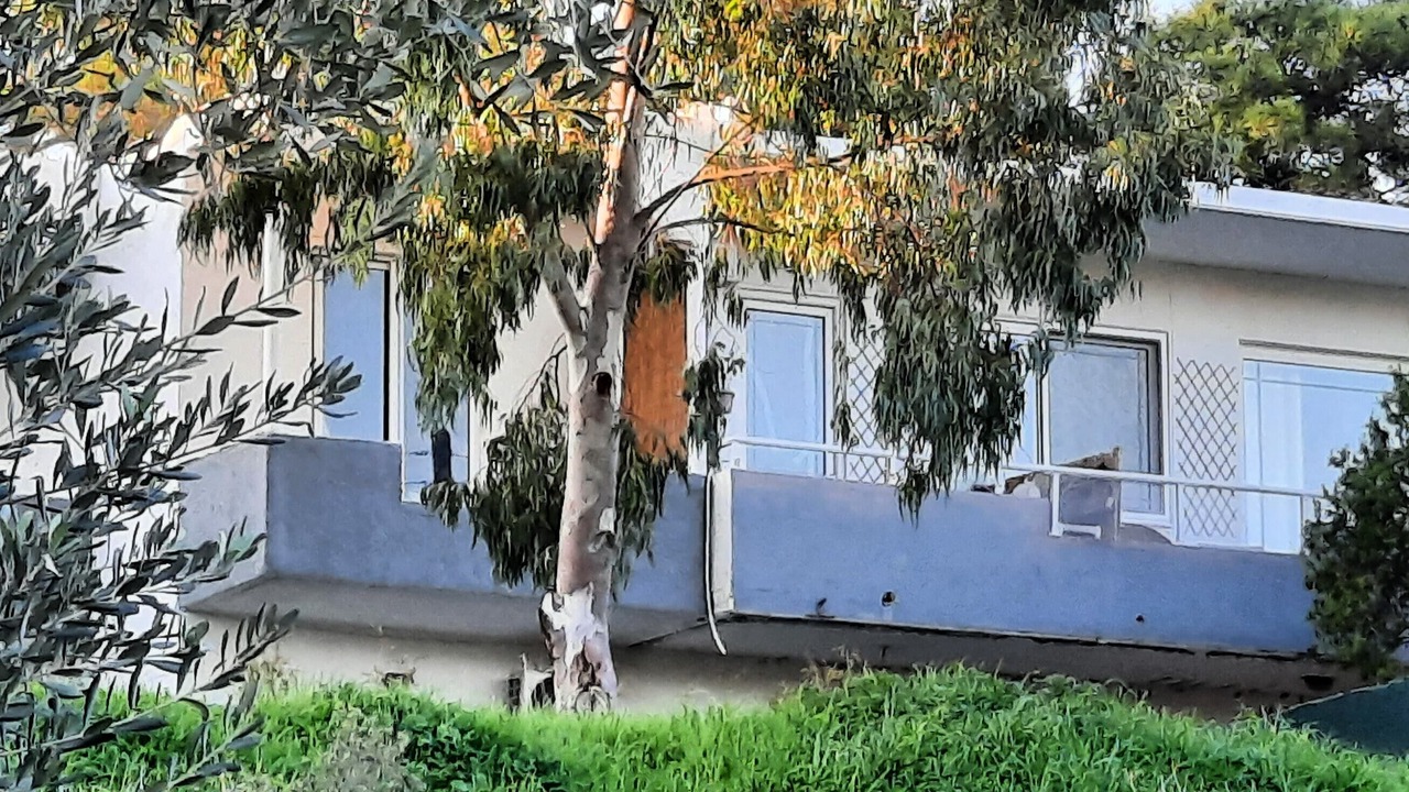 Photo of Outdoor in Kalithies