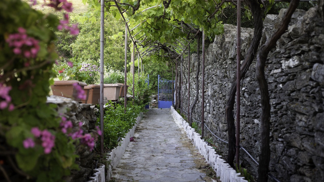 Photo of Others in Andros Town