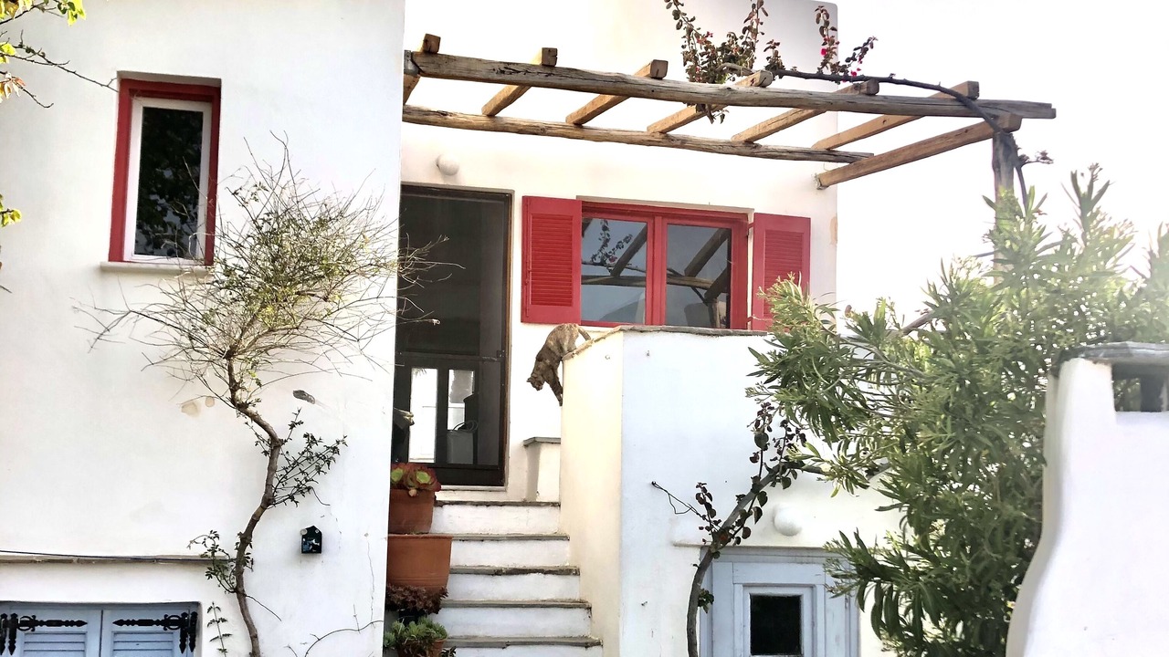 Photo of Outdoor in Agia Anna