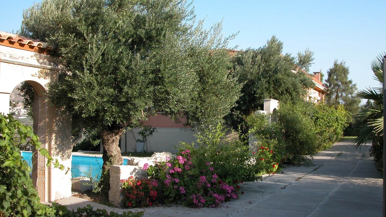 Photo of Outdoor in Archanes