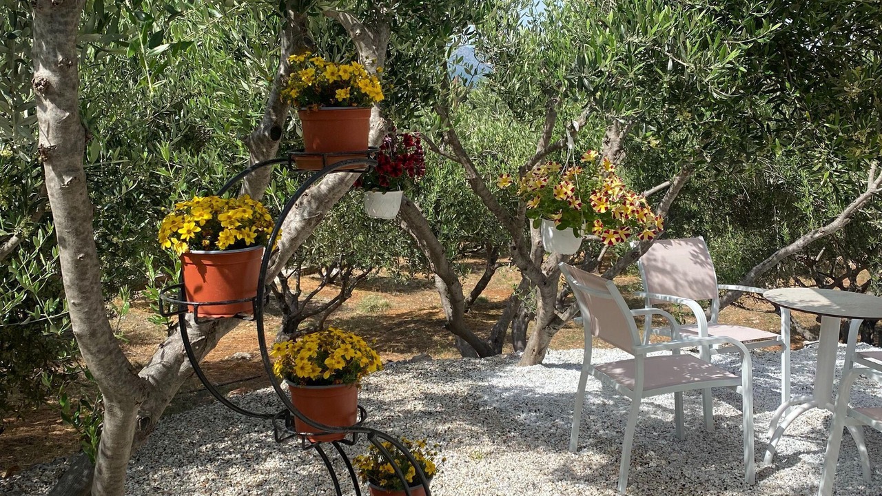 Photo of Outdoor in Milatos