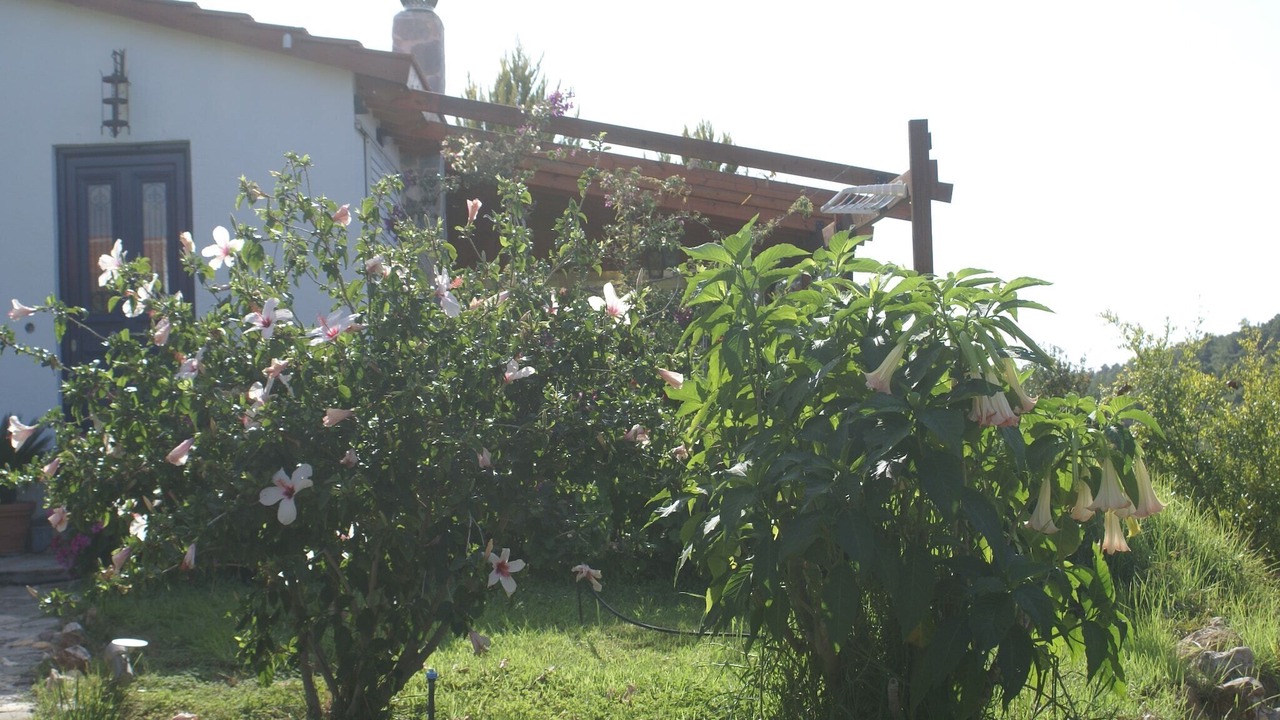 Photo of Outdoor in Asklipiio
