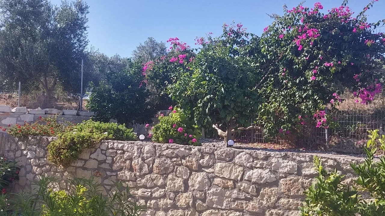 Photo of Outdoor in Kirianna