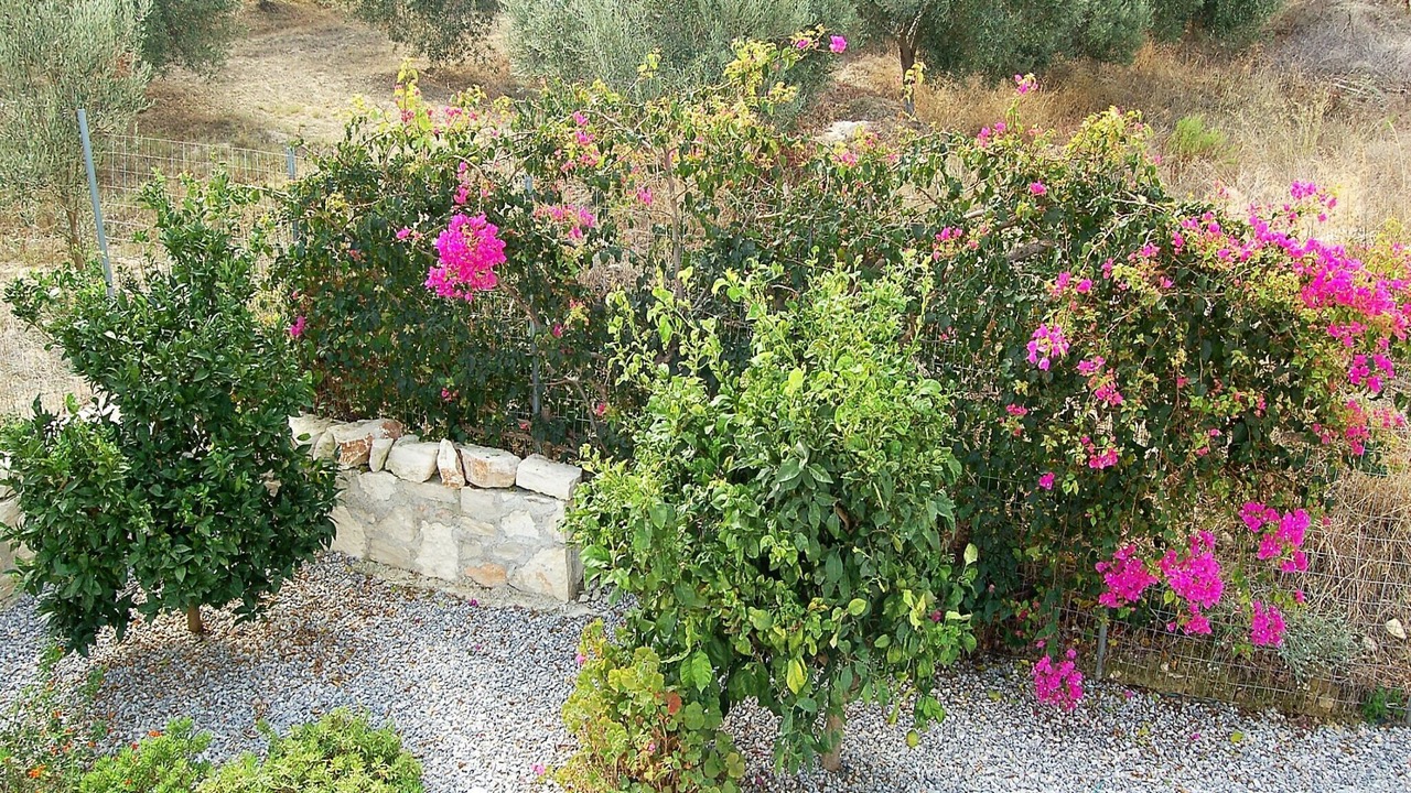 Photo of Outdoor in Kirianna
