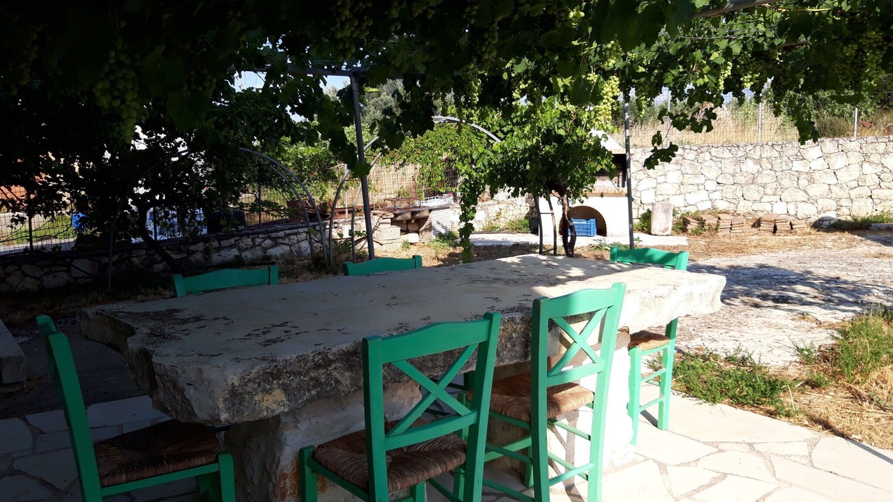 Photo of Others in Margarites