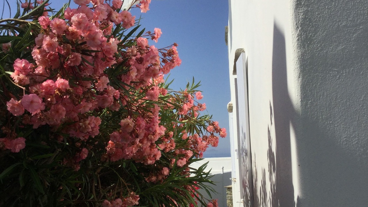 Photo of Outdoor in Agios Sostis