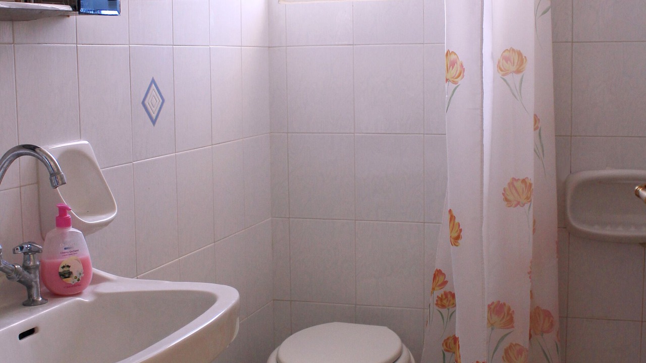 Photo of Bathroom in Drosia