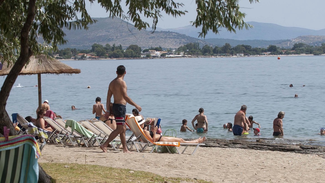 Photo of Others in Nea Makri