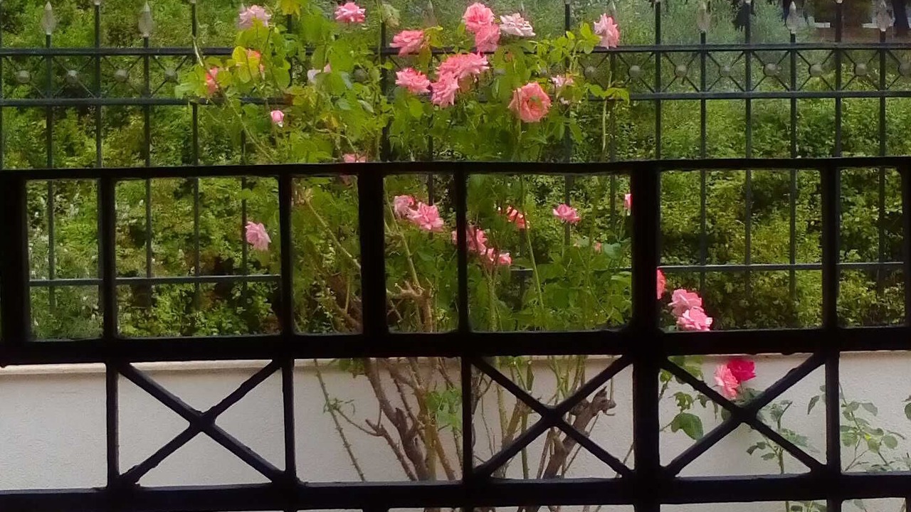 Photo of Outdoor in Metamorfosi