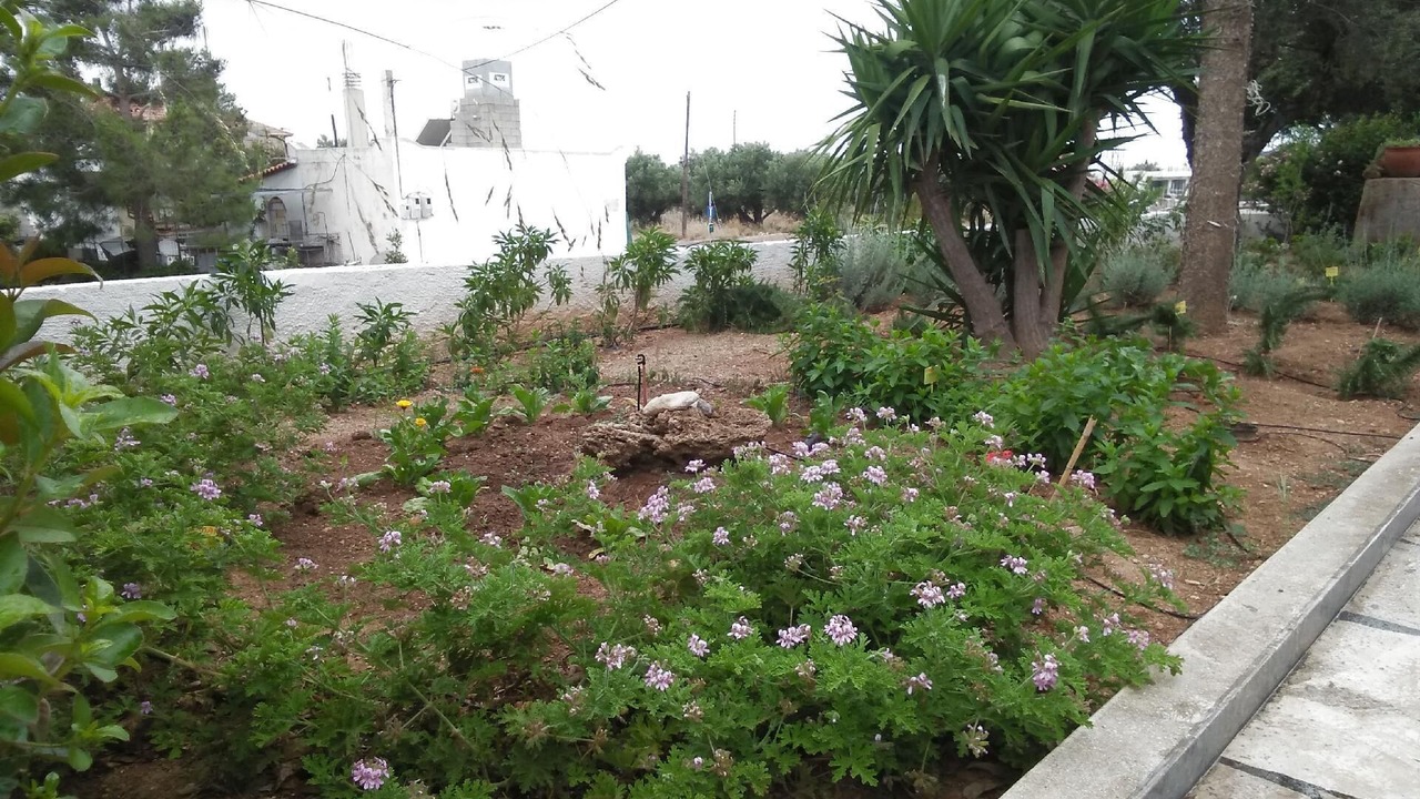 Photo of Outdoor in Ferma