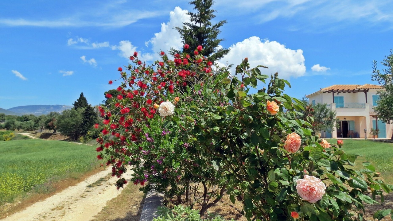 Photo of Outdoor in Klismata