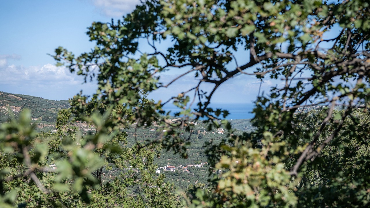 Photo of Outdoor in Latziana
