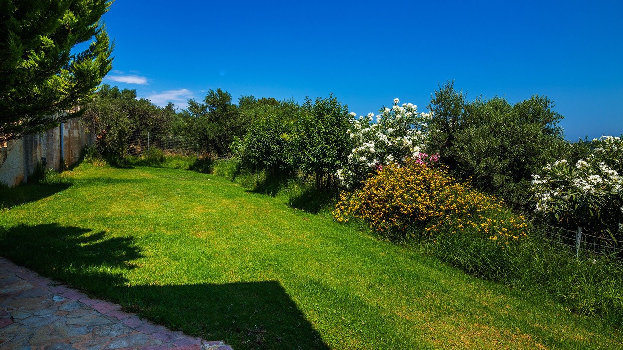 Photo of Outdoor in Polemarchi