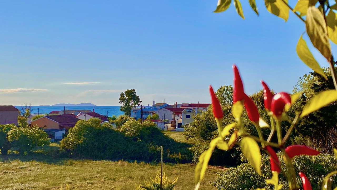 Photo of Outdoor in Acharavi