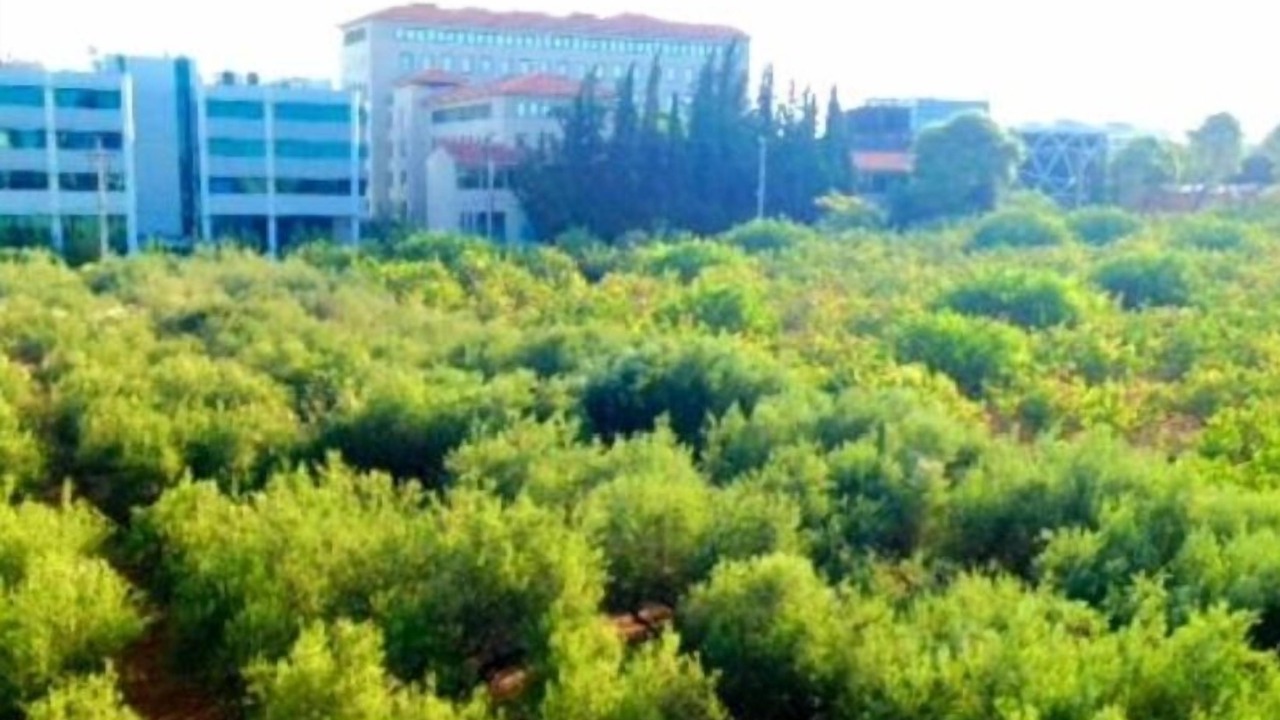 Photo of Outdoor in Khalandrion