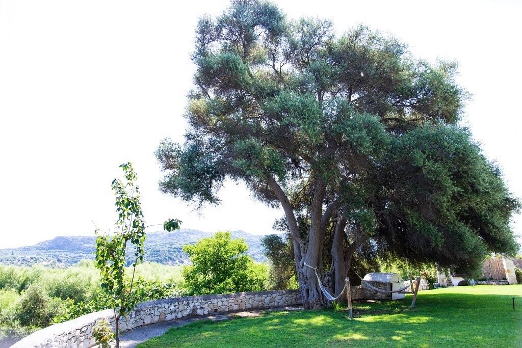 Photo of Outdoor in Agia