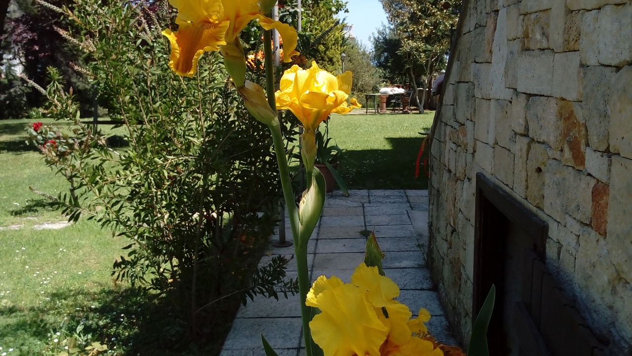 Photo of Outdoor in Afytos