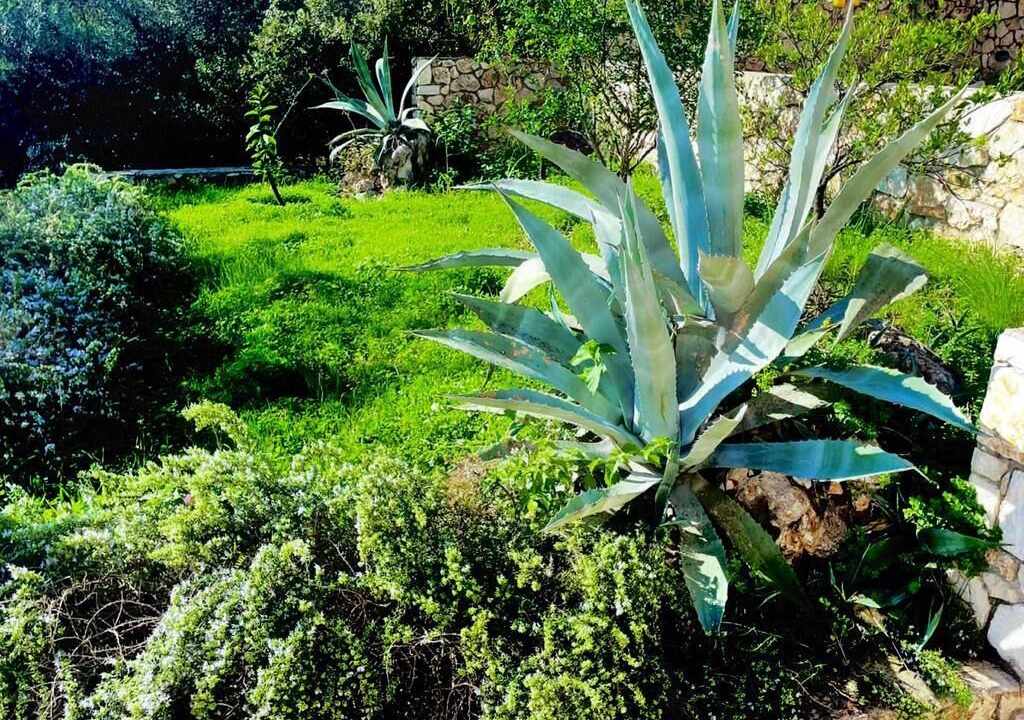 Photo of Outdoor in Ano Korakiana