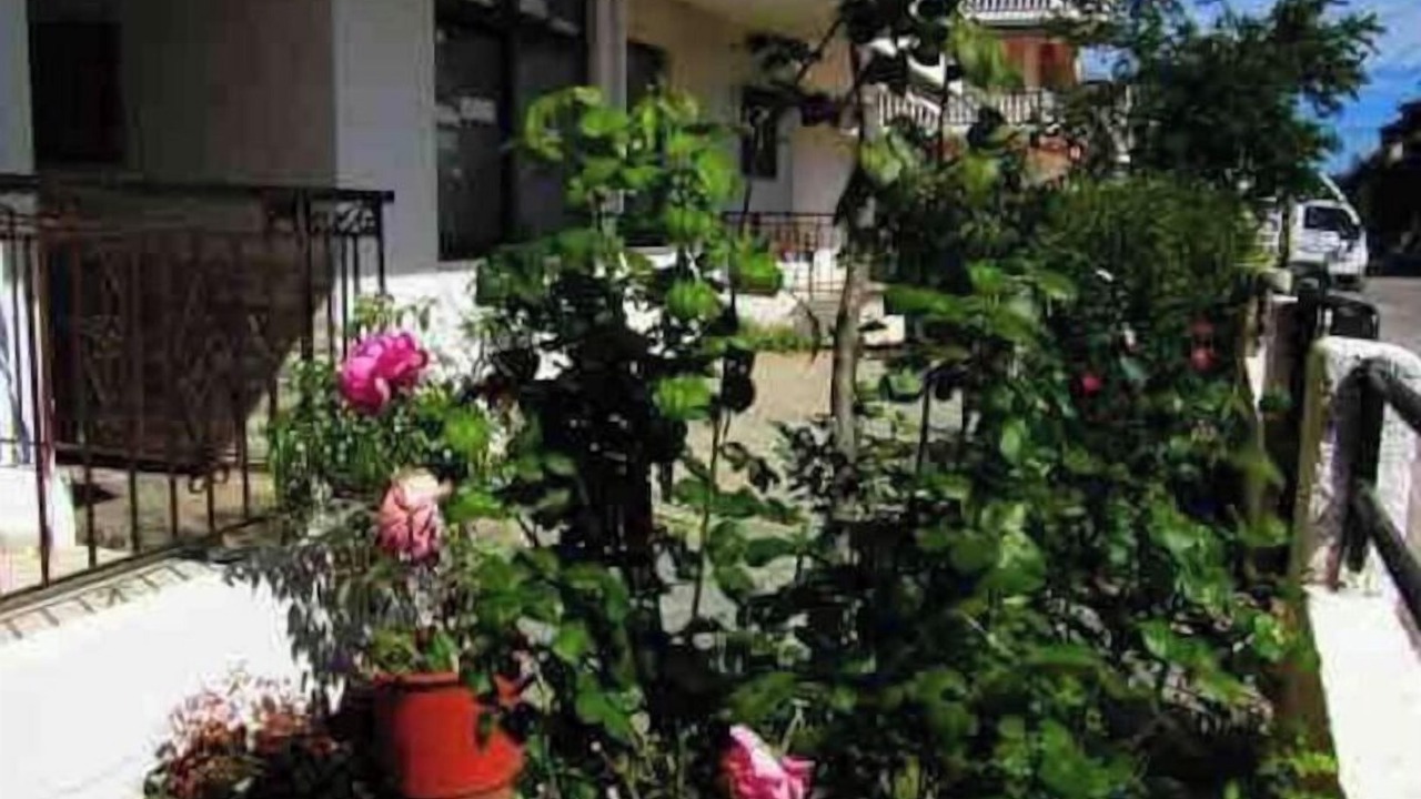 Photo of Outdoor in Akrata