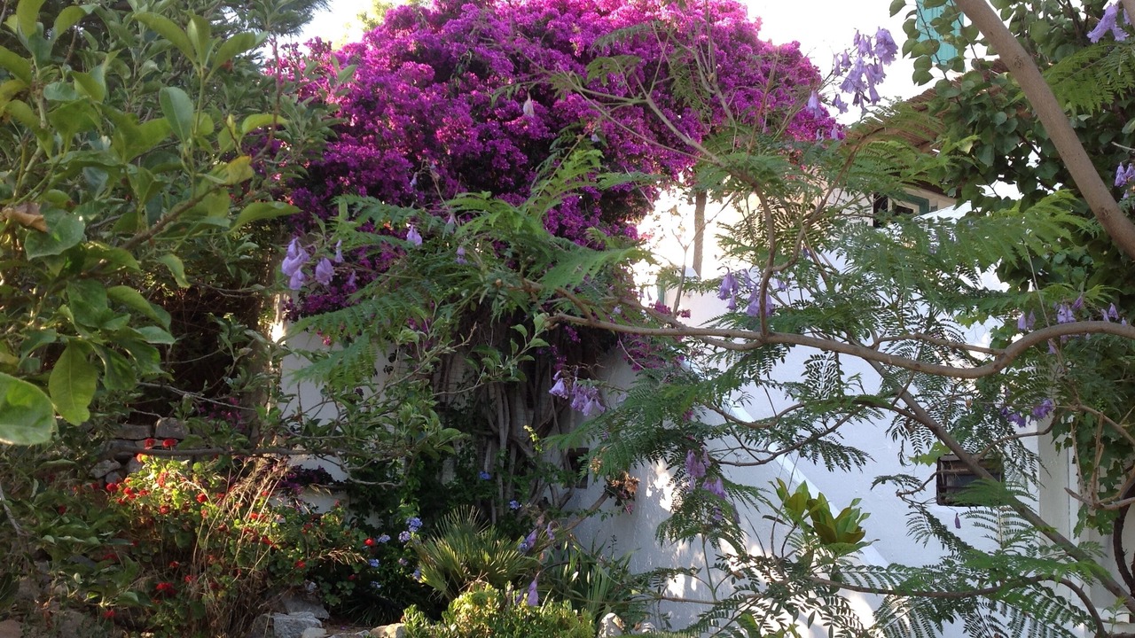 Photo of Outdoor in Old Town Naxos