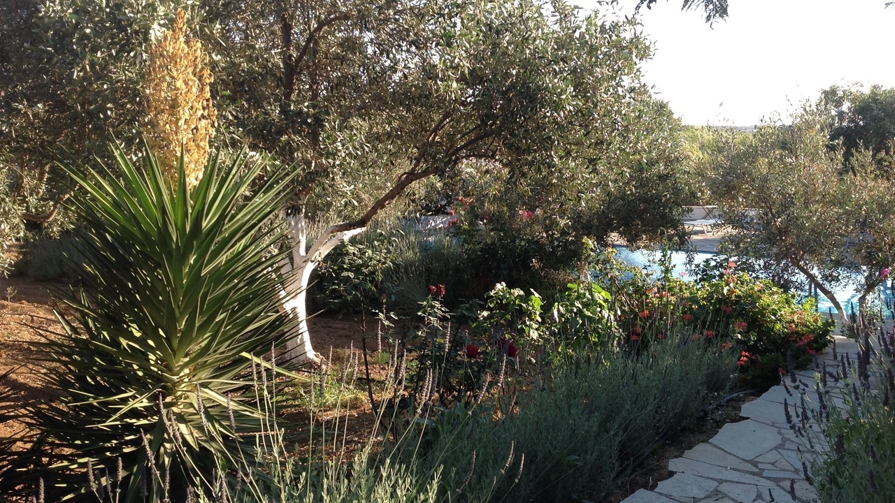 Photo of Outdoor in Old Town Naxos