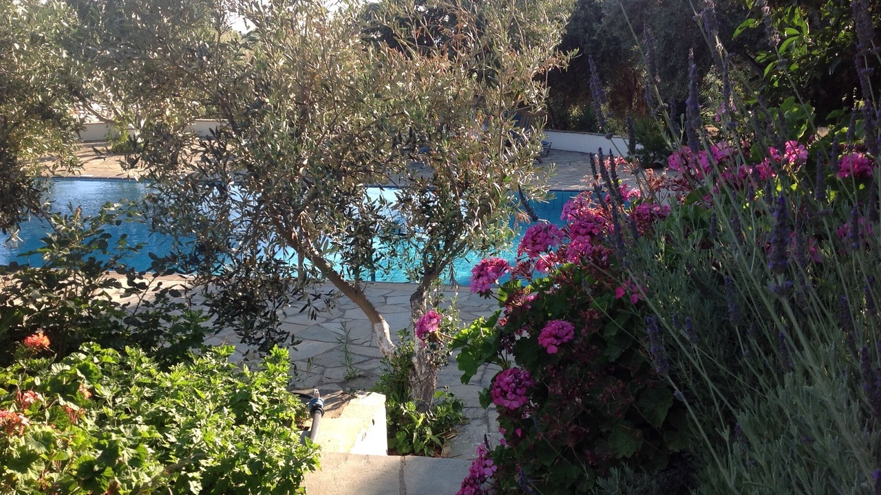 Photo of Outdoor in Old Town Naxos