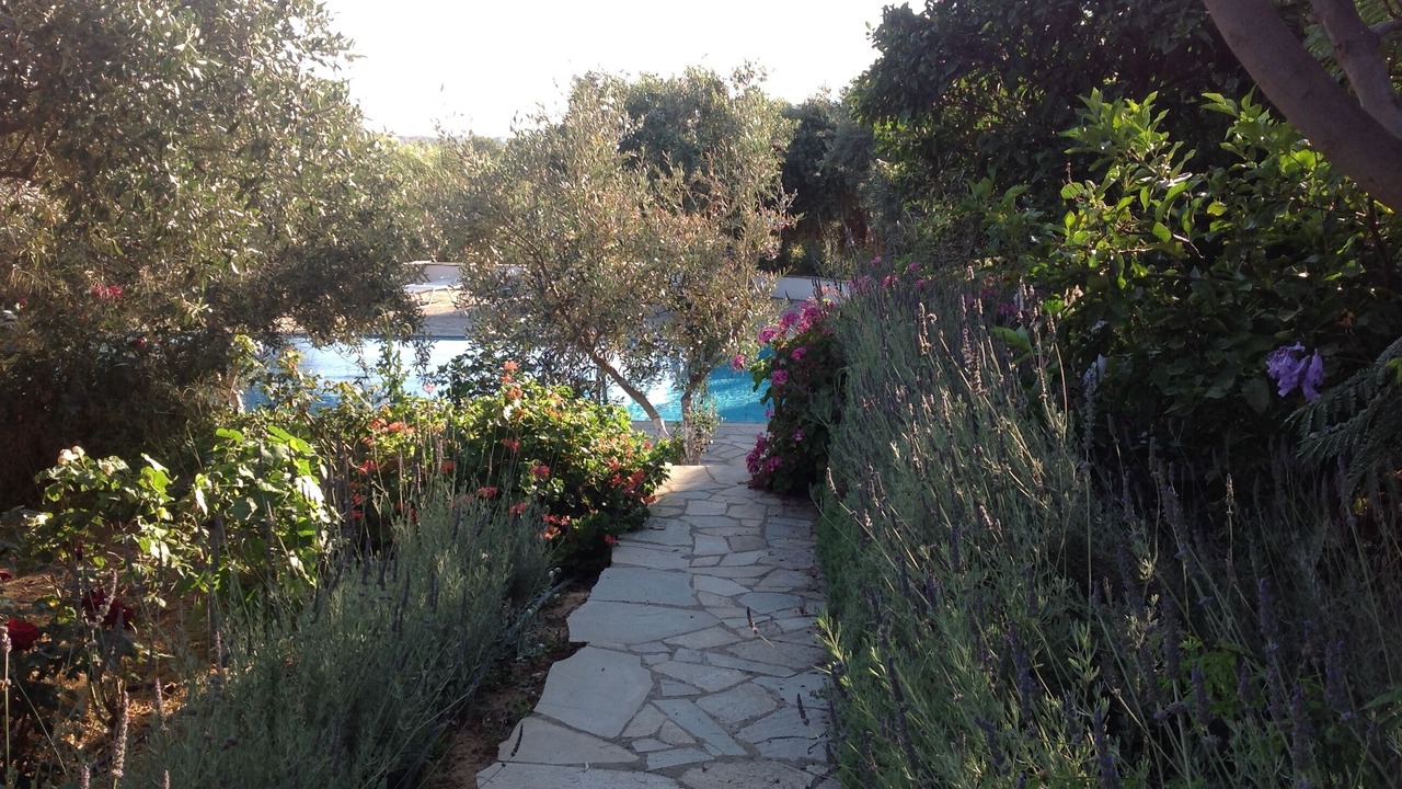 Photo of Outdoor in Old Town Naxos