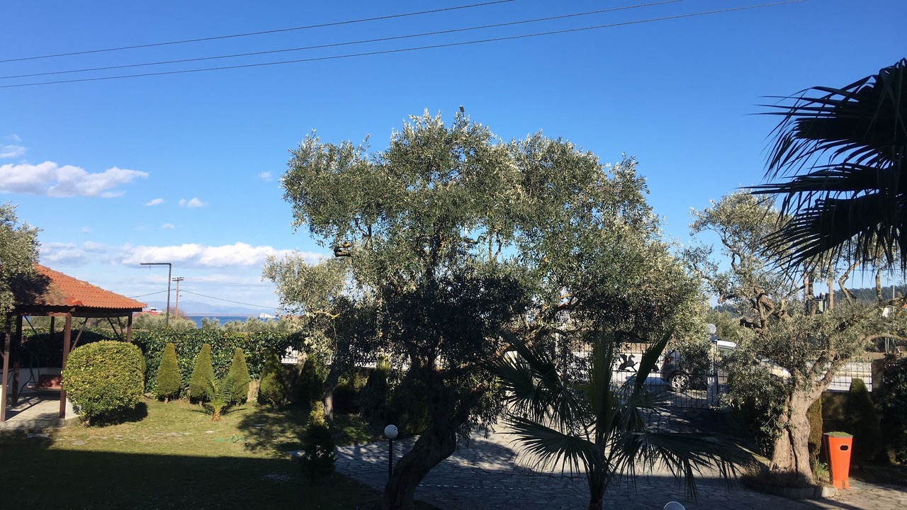 Photo of Outdoor in Thasos Town