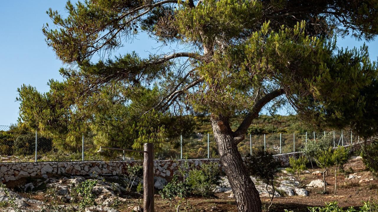 Photo of Outdoor in Maries