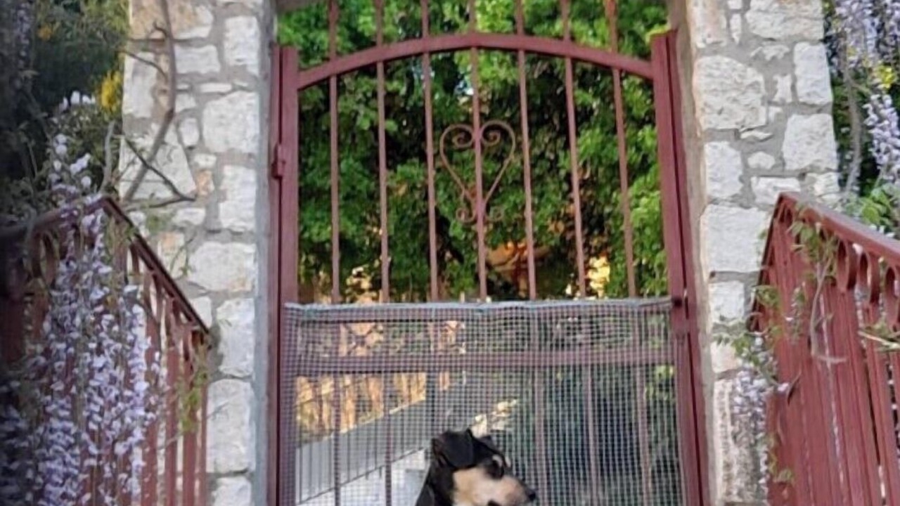 Photo of Outdoor in Longanikos