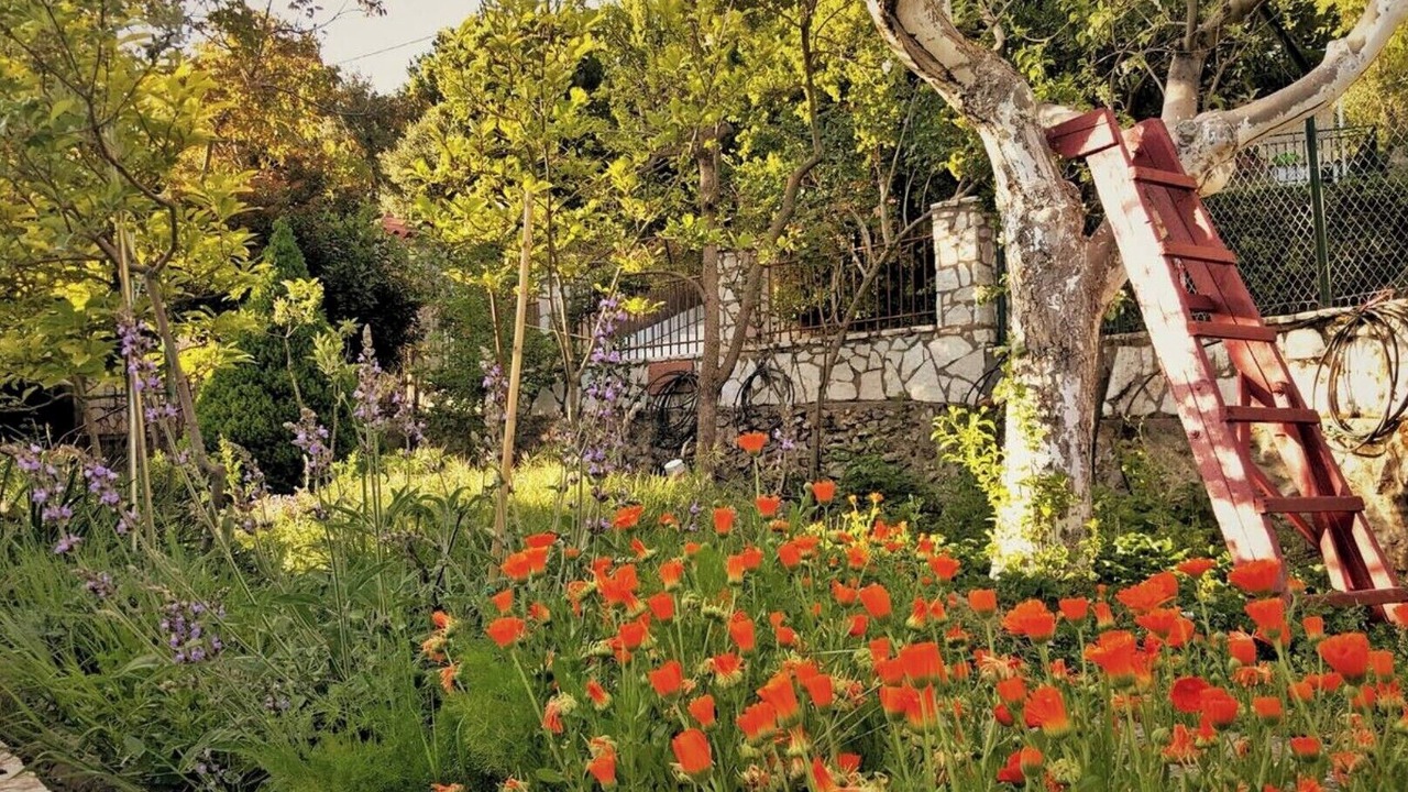 Photo of Outdoor in Longanikos