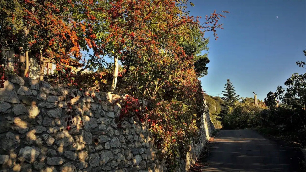 Photo of Outdoor in Longanikos