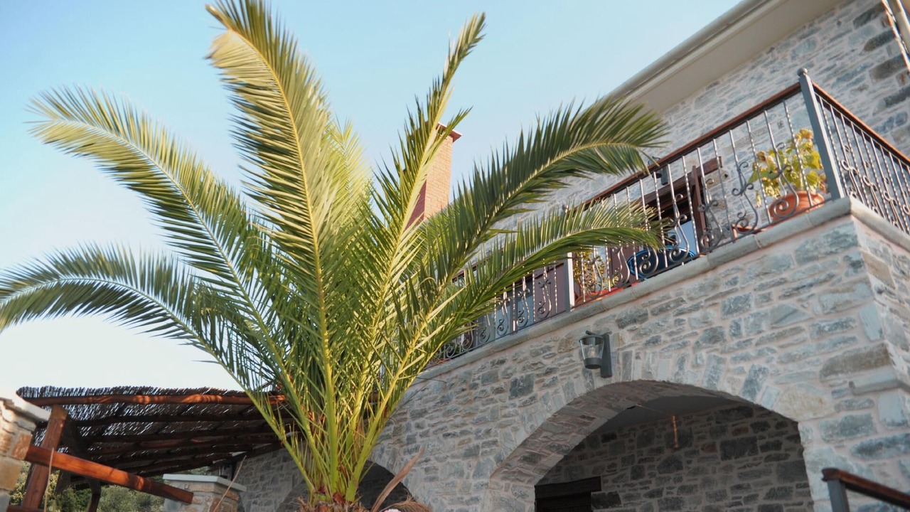 Photo of Outdoor in Papa Nero