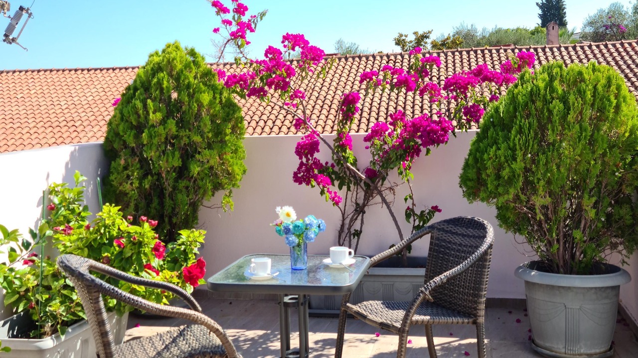 Photo of Outdoor in Benitses