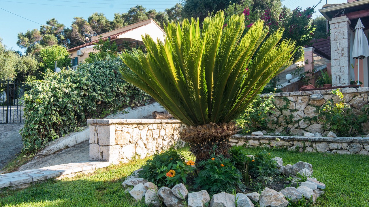Photo of Outdoor in Messonghi