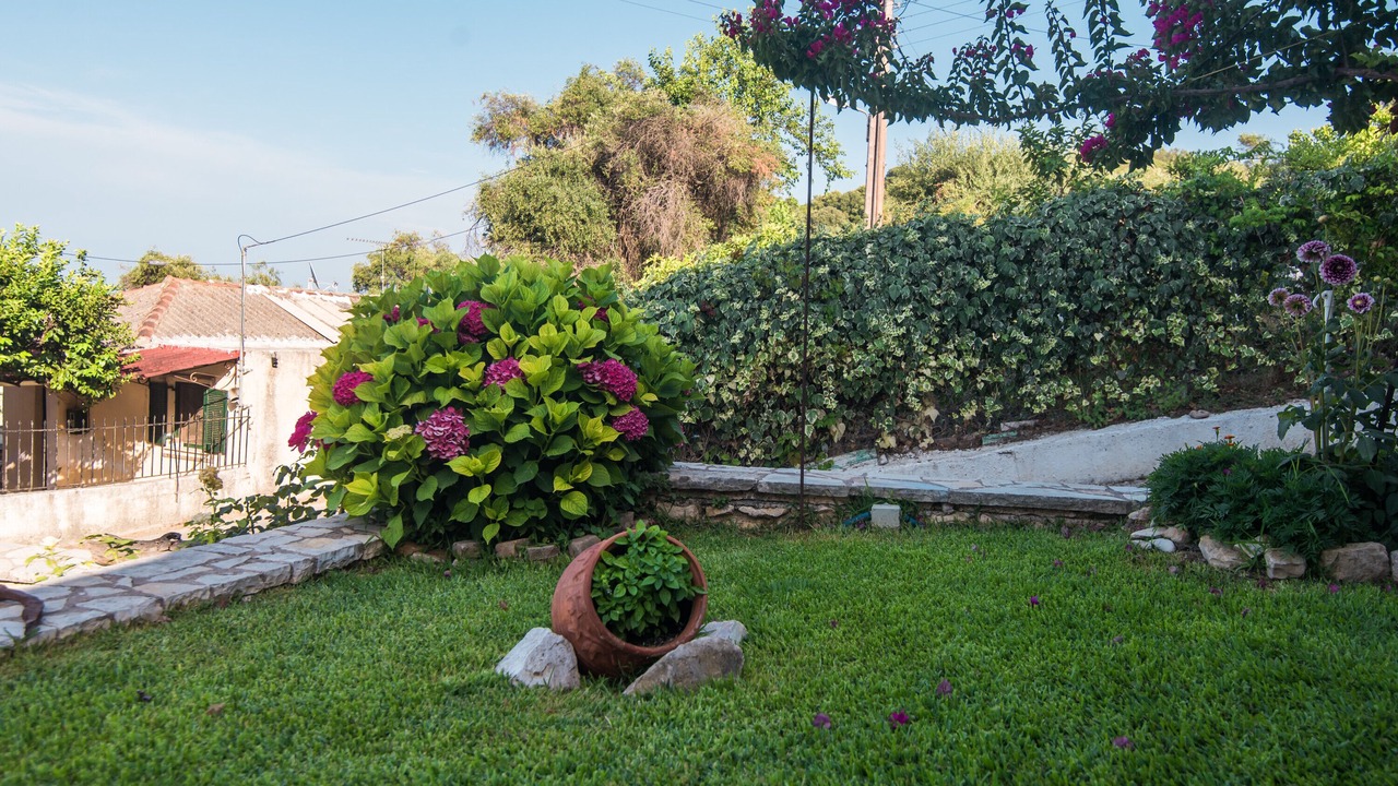 Photo of Outdoor in Messonghi