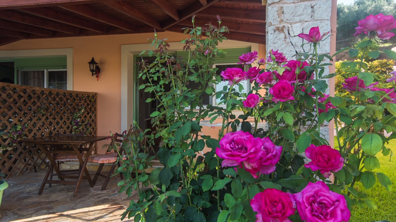 Photo of Outdoor in Messonghi