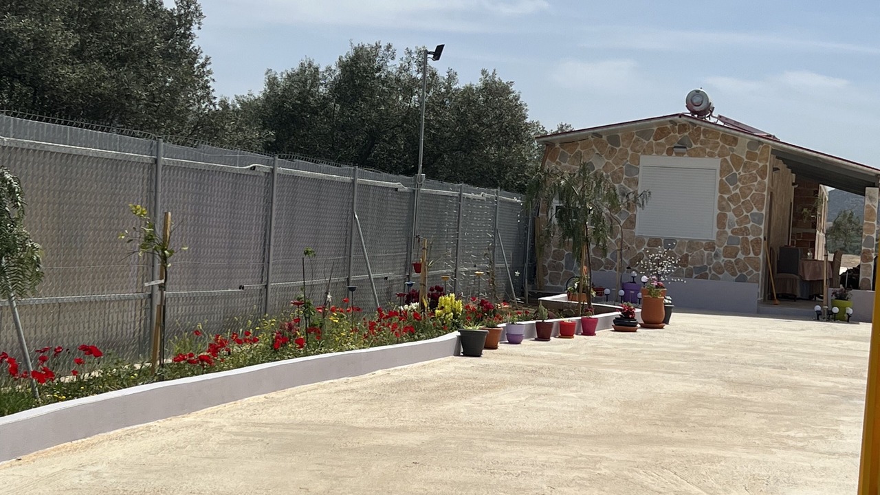 Photo of Others in Saronikos