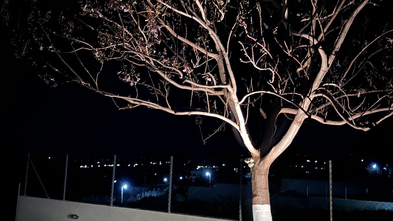 Photo of Outdoor in Roumeli