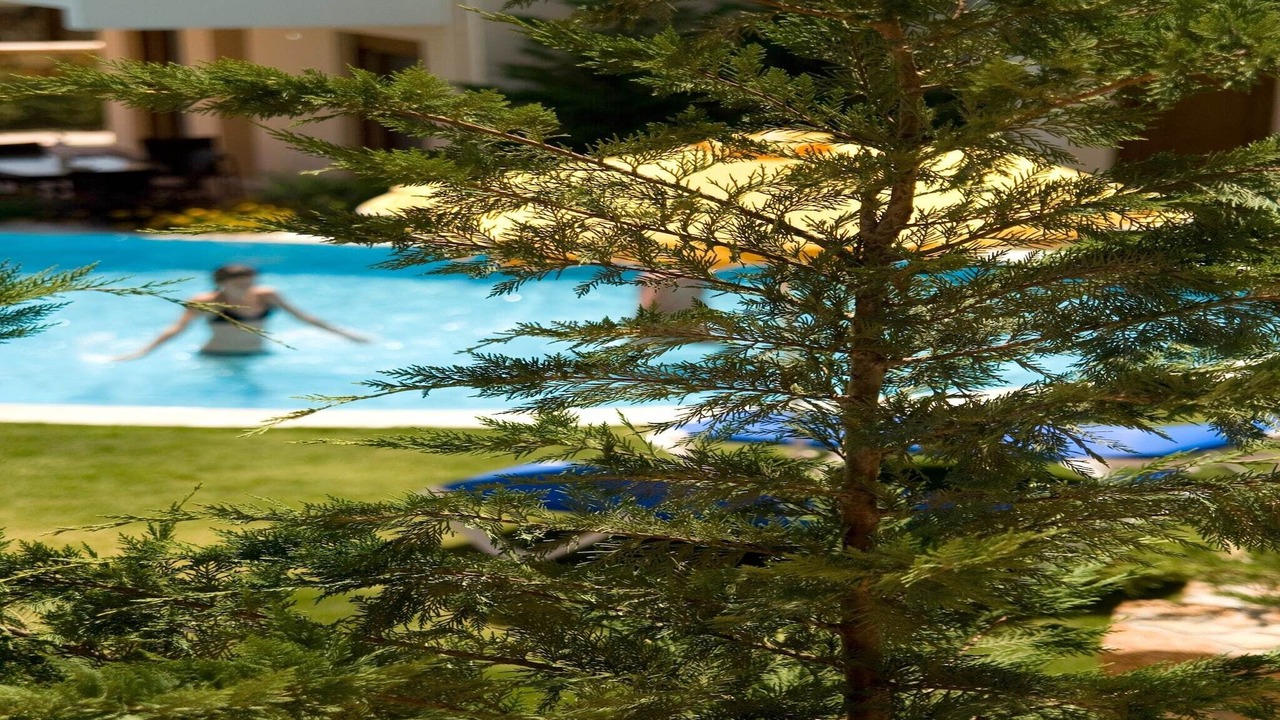 Photo of Outdoor in Pefkos