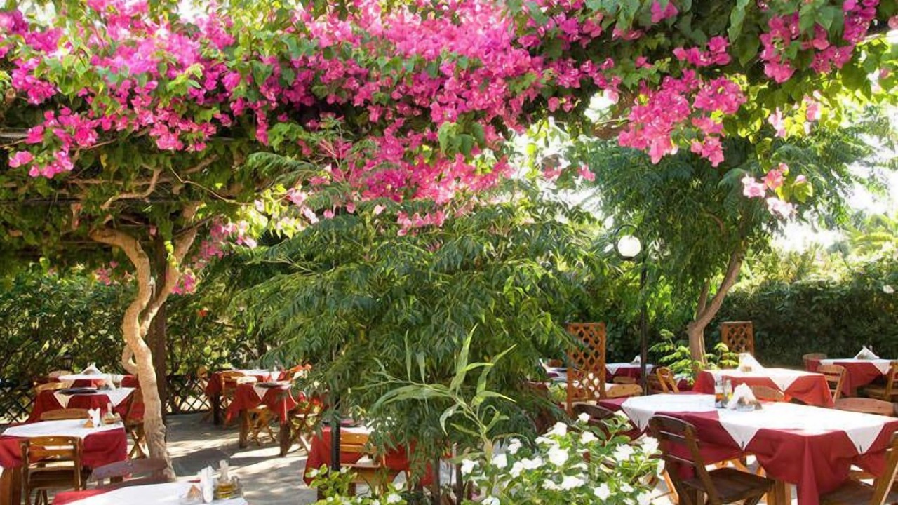 Photo of Outdoor in Pefkos