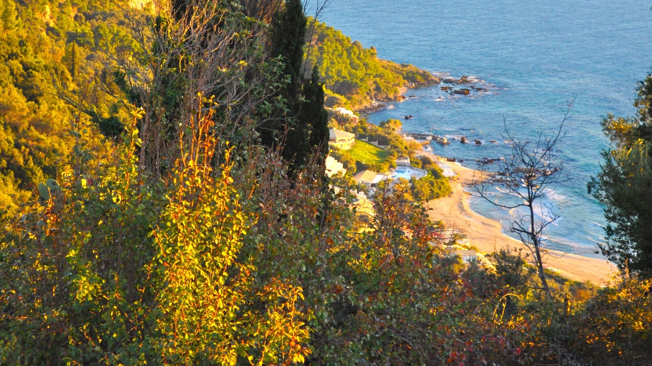 Photo of Outdoor in Parelia