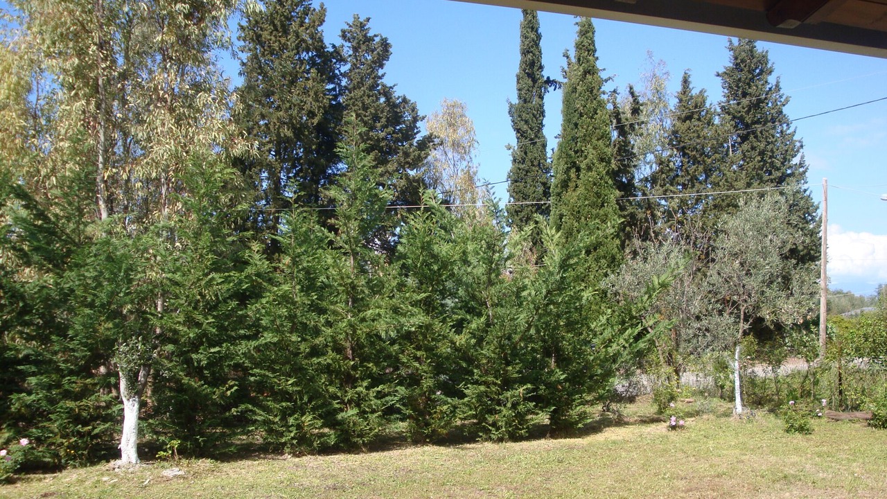 Photo of Outdoor in Almiros Beach