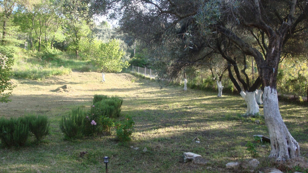 Photo of Outdoor in Almiros Beach